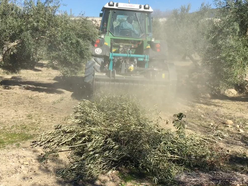 Trituradora de ramas de olivo Mini-tiger - Picursa