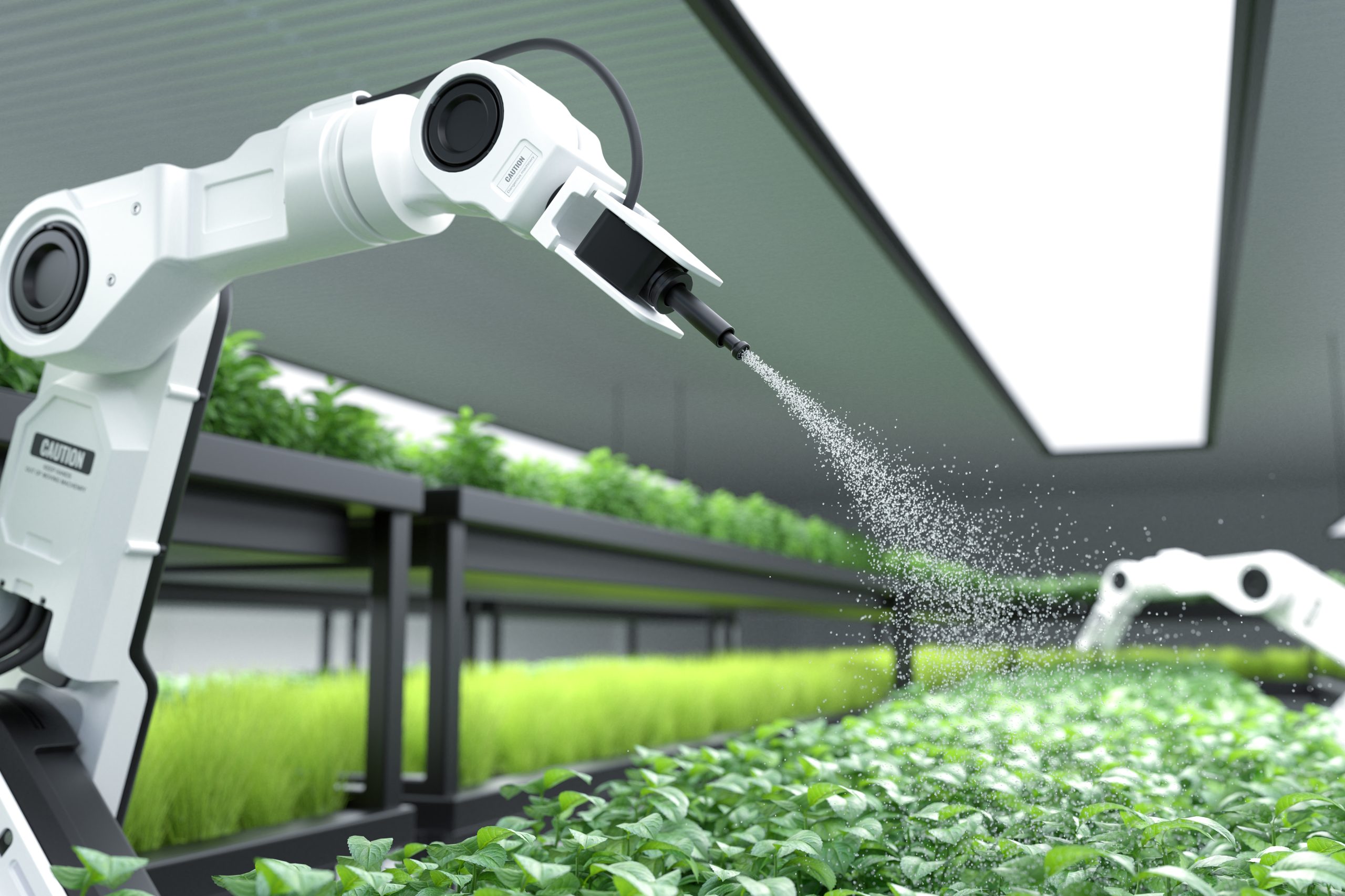 Inteligencia artificial en agroalimentación